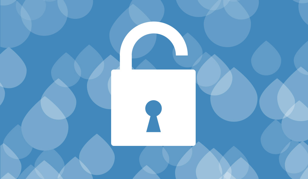 Free Drupal Security Audit