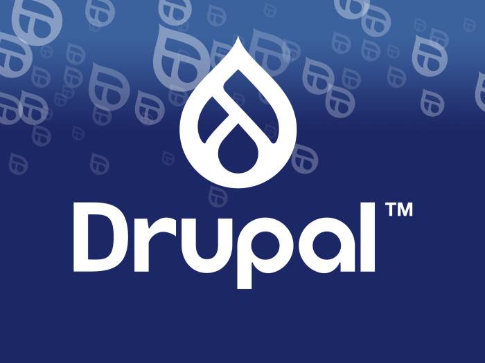 Drupal 10 Updates